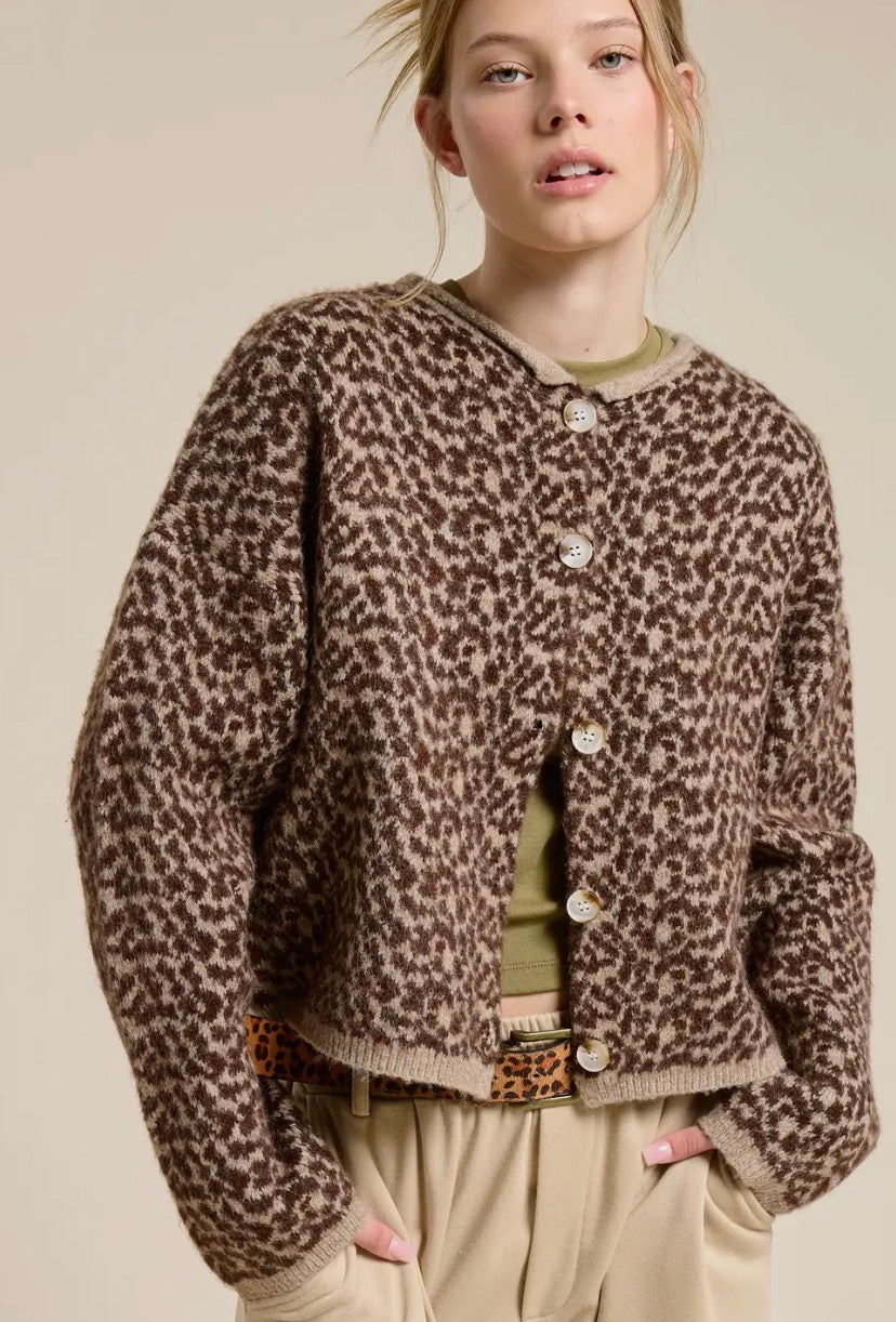 Cheetah Girl Cardi