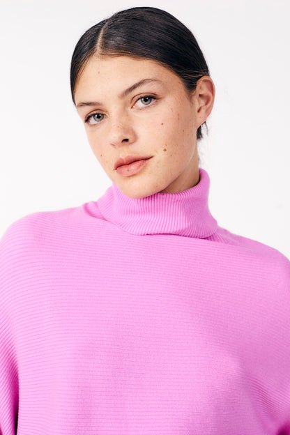 Cassia Turtleneck Sweater