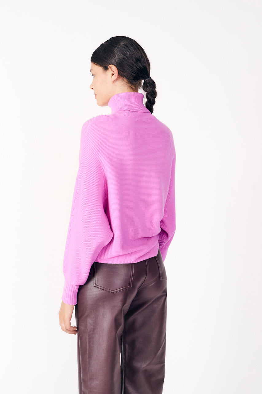 Cassia Turtleneck Sweater