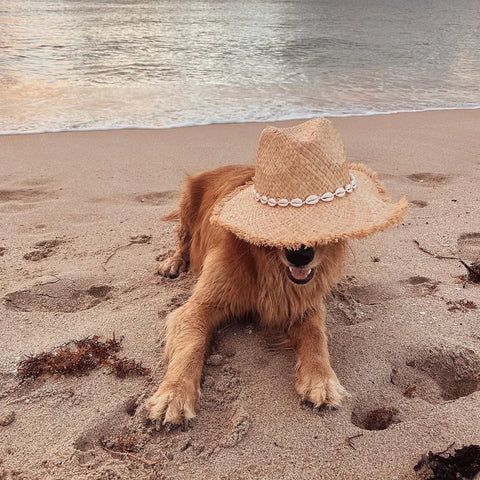 RAFFIA SUN HAT ✿ CALI